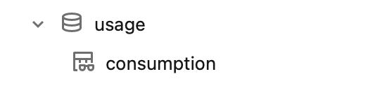 The usage schema in the IrisX catalog, showing the consumption table.